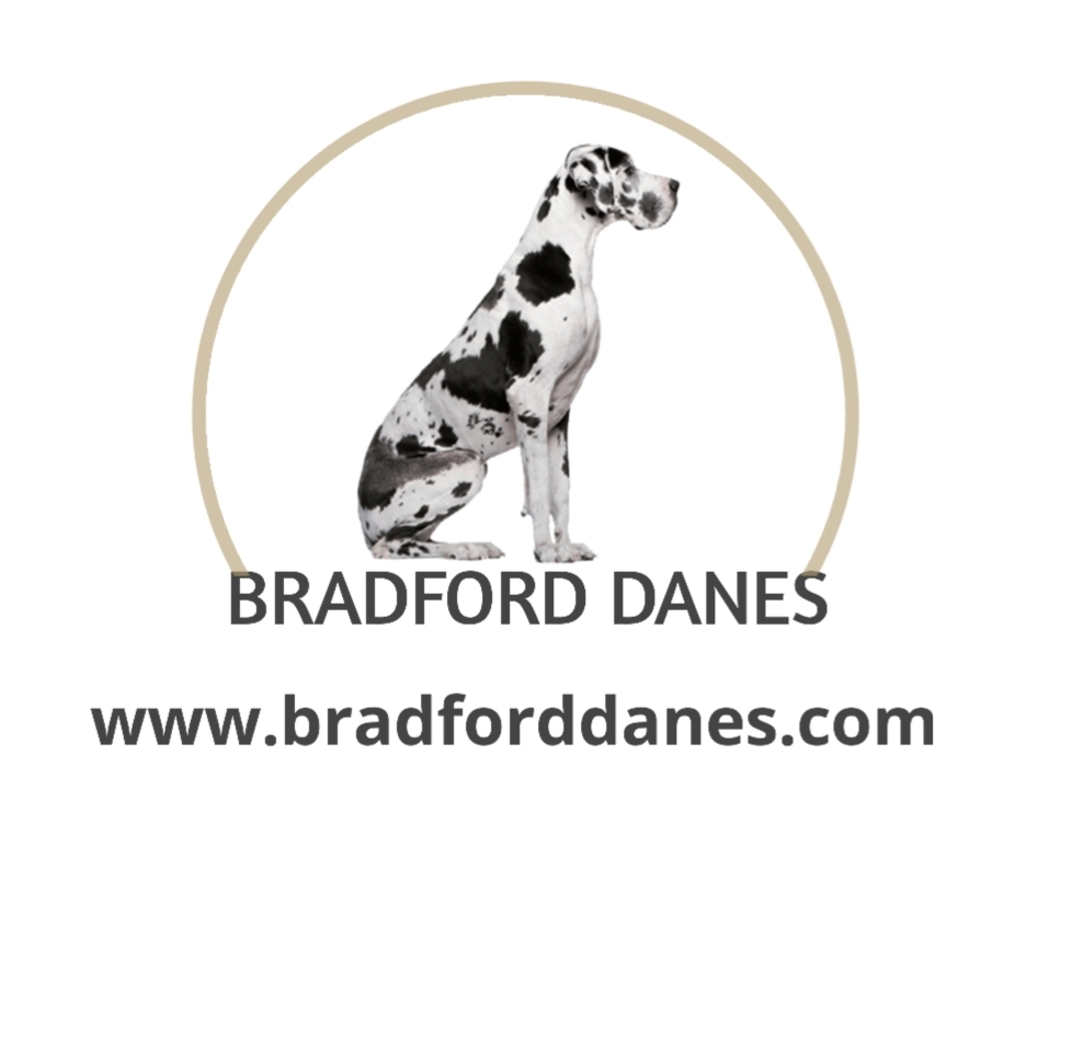 bradforddanes